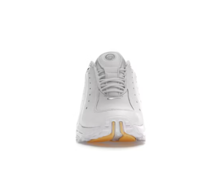 Nike Hot Step Air Terra White