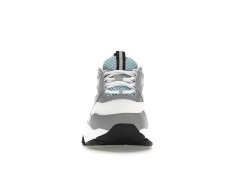 Dior B22 White Blue